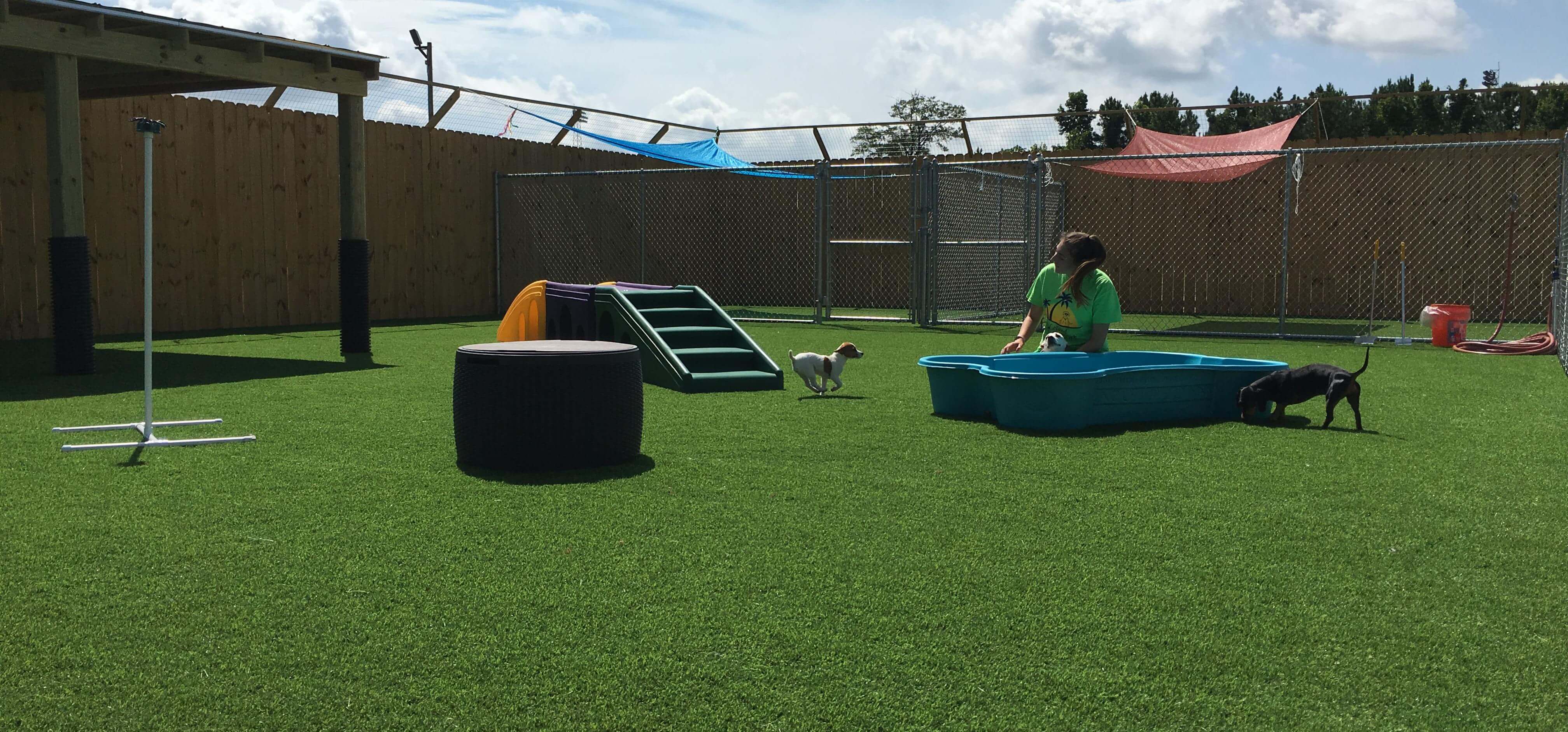 Leland Pet Resort Luxury Boarding For Dogs & CatsLeland, NC