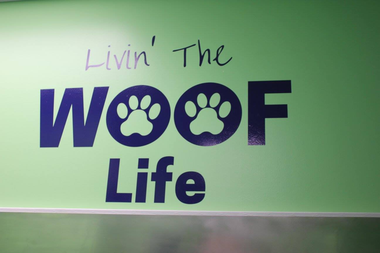 woof life design on wall